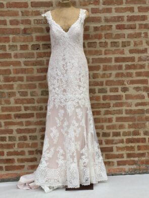 Essence Cream Lace Gown w Champagne Lining Size 14
