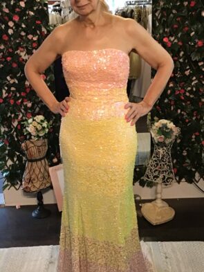 Tiffany Designs Multi Colors Sequin Mermaid Fit Gown Size 6